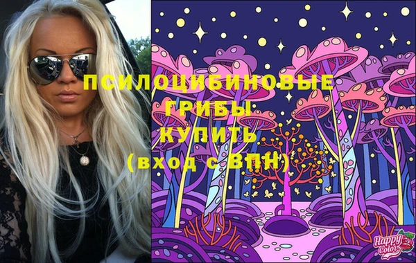 прущие грибы Арсеньев