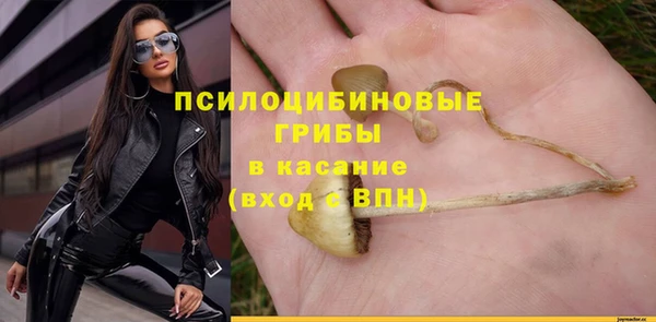 прущие грибы Арсеньев