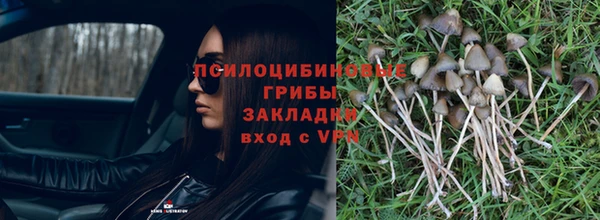 мескалин Аркадак
