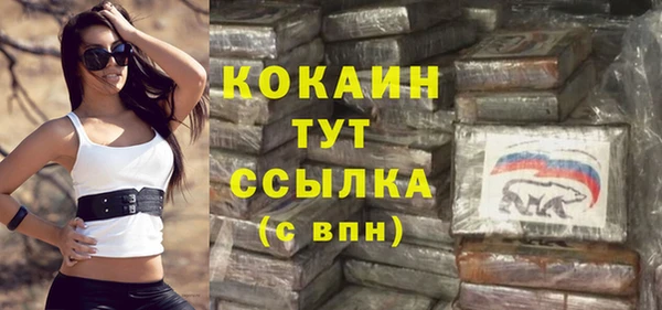 прущие грибы Арсеньев