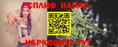 дживик Бийск