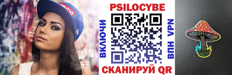 Галлюциногенные грибы Psilocybe  Выкса 