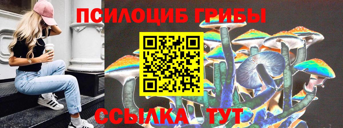 Псилоцибиновые грибы GOLDEN TEACHER Выкса