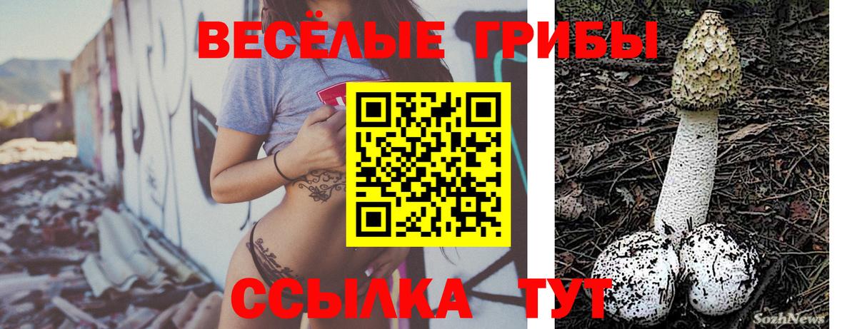 Выкса  Псилоцибиновые грибы прущие грибы  Галлюциногенные грибы ЛСД  Вход с VPN 
